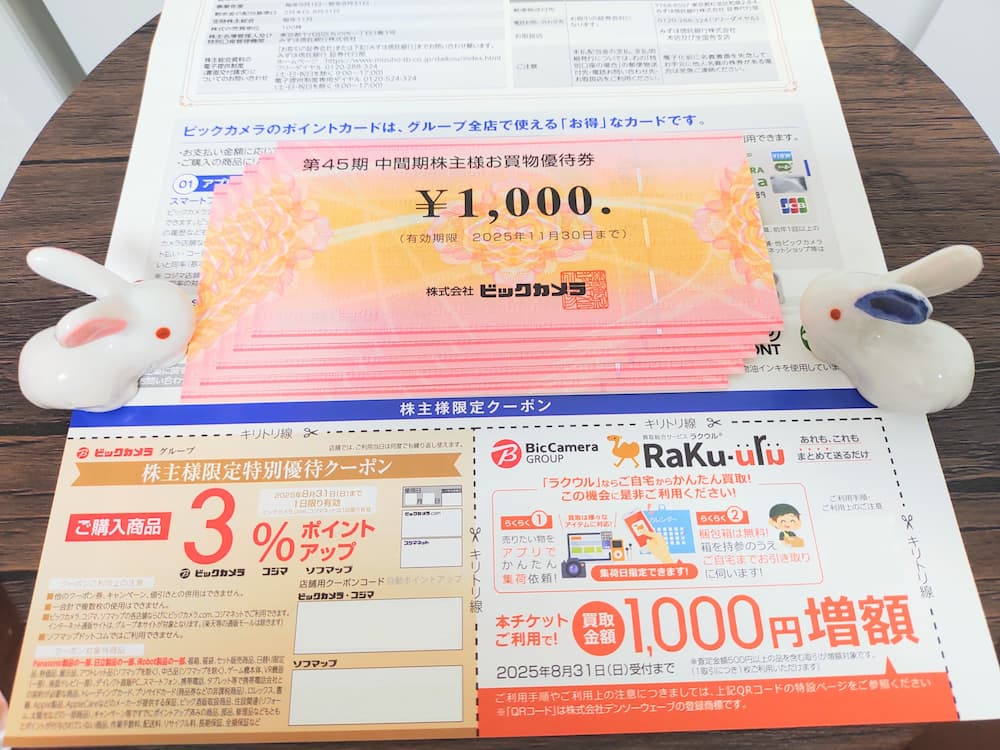 202502ビックカメラ株主優待券