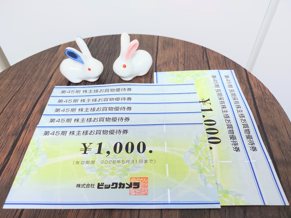 202508ビックカメラ株主優待券