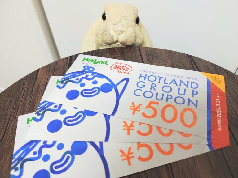 ホットランド (築地 銀だこ) 500円券×30枚=15，000円分 3月末までの+