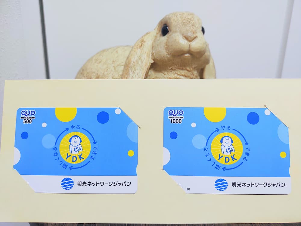 202508明光ネットワークジャパン株主優待クオカード