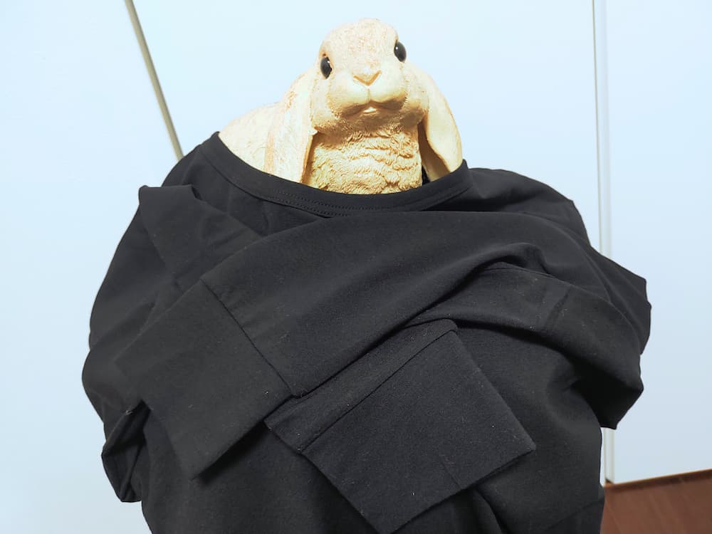 202506千趣会の優待で購入した「Hotcott ロンT」