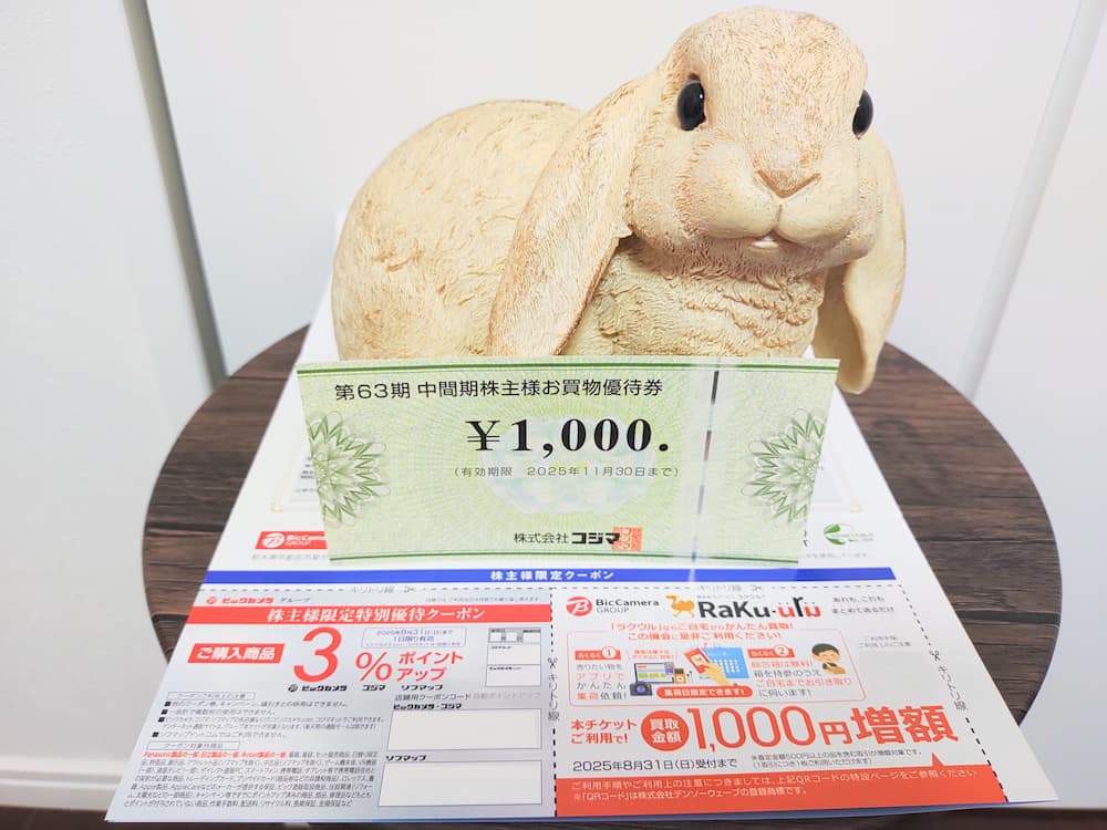 202502コジマ株主優待券