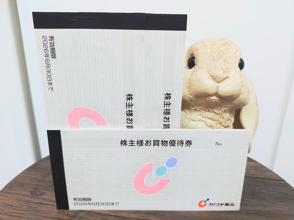 20250315カワチ薬品株主優待券|冊子