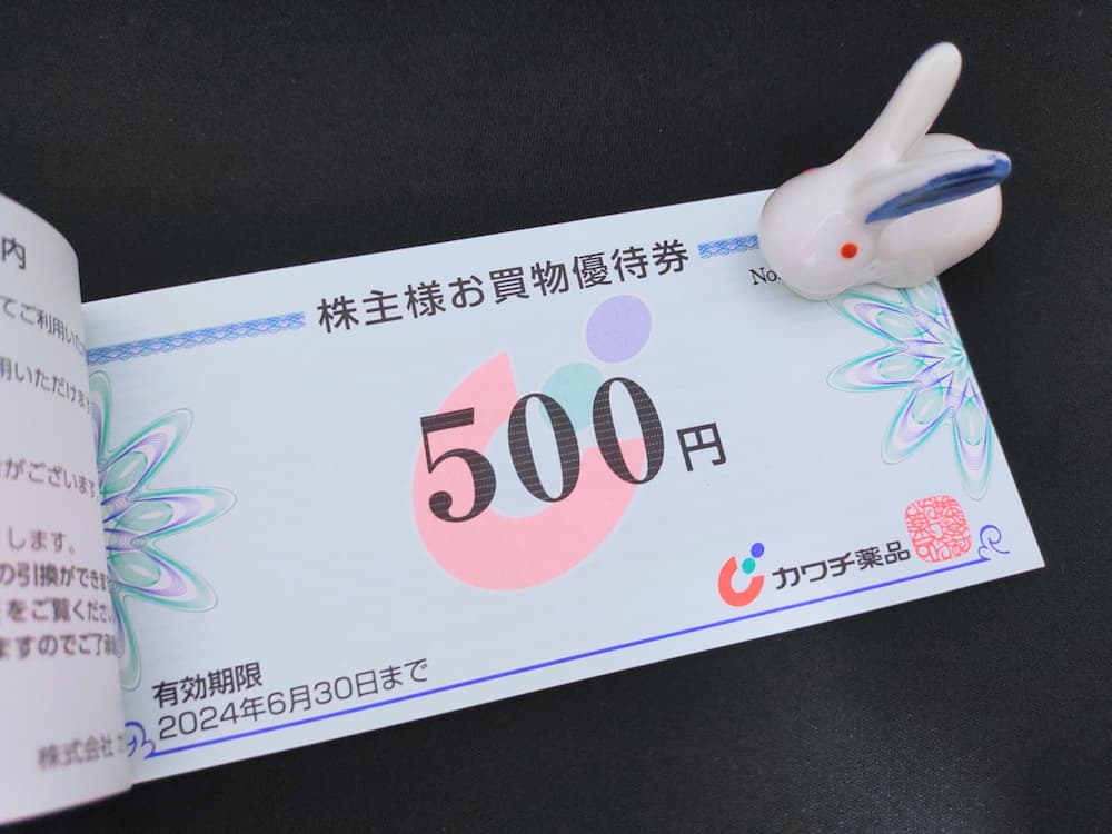 カワチ薬品 株主優待券 20.000円分 | mdh.com.sa