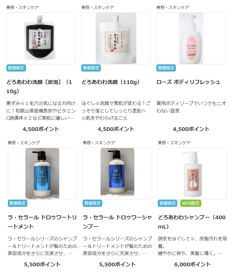 202503RIZAPグループ株主優待カタログ掲載品|その1