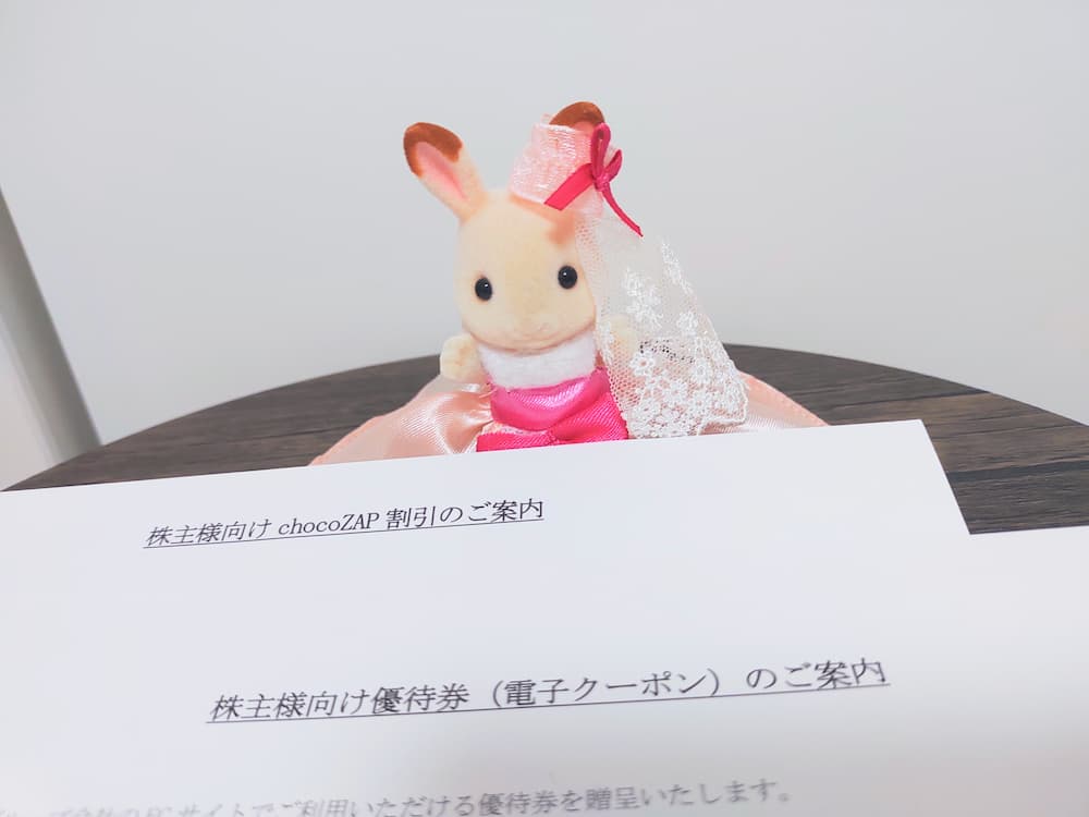 202503RIZAPグループ株主優待|chocoZAP割引&EC優待券案内