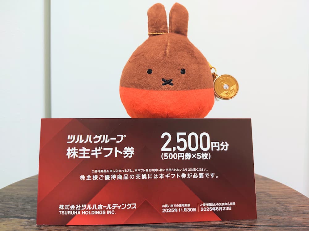 202502ツルハホールディングス株主優待ギフト券冊子