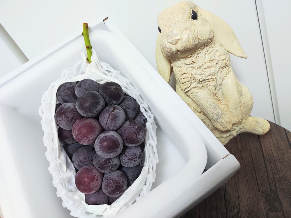 202505大黒天物産株主優待ピオーネ