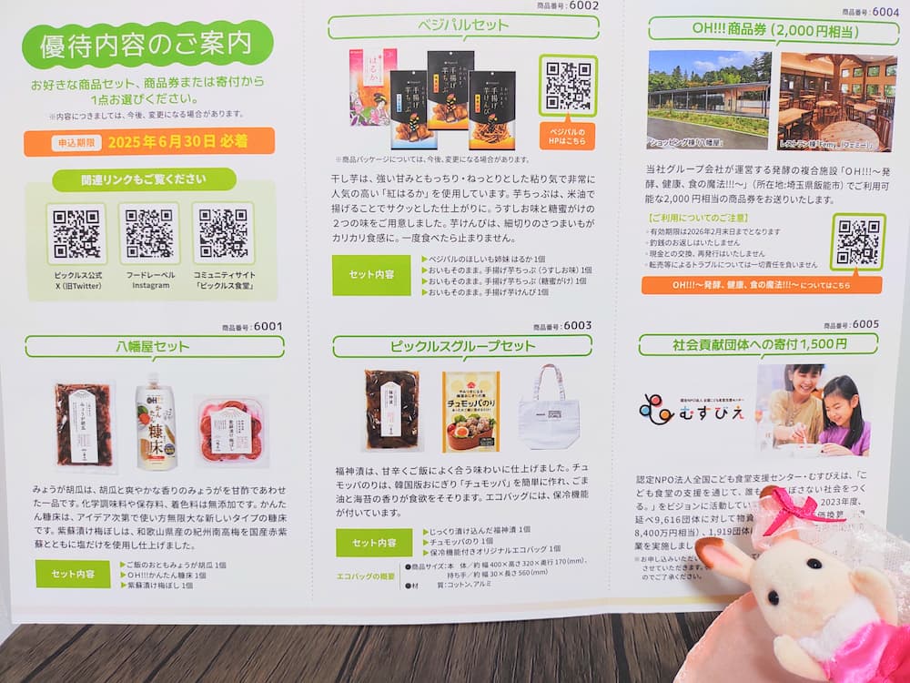 202502ピックルホールディングス株主優待案内