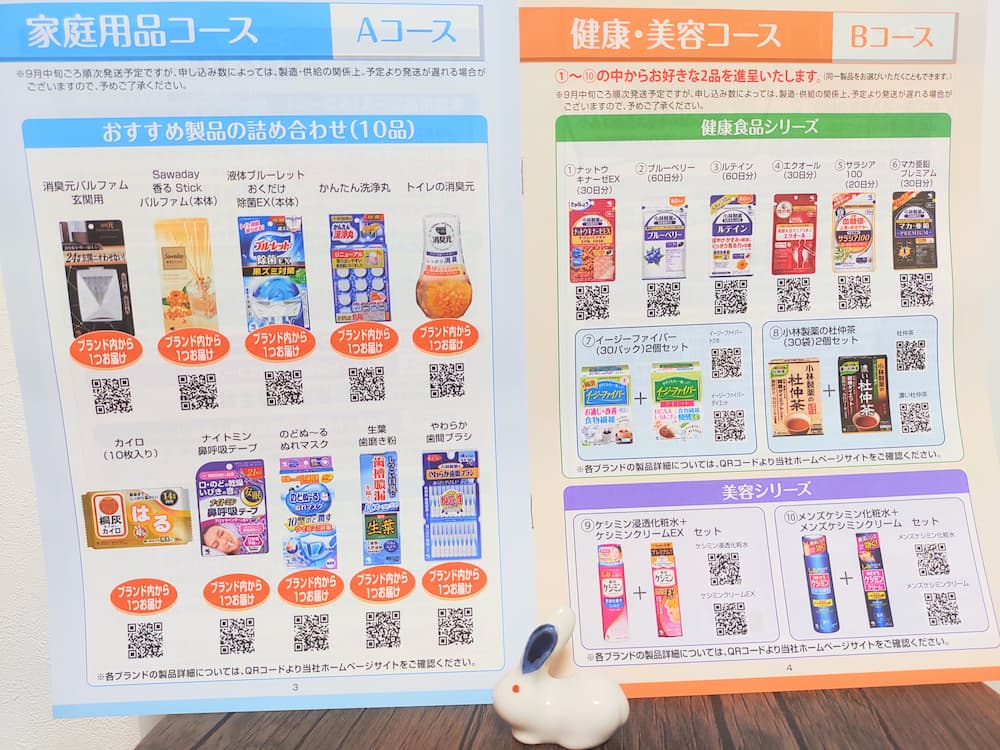 202506小林製薬株主優待案内｜その1