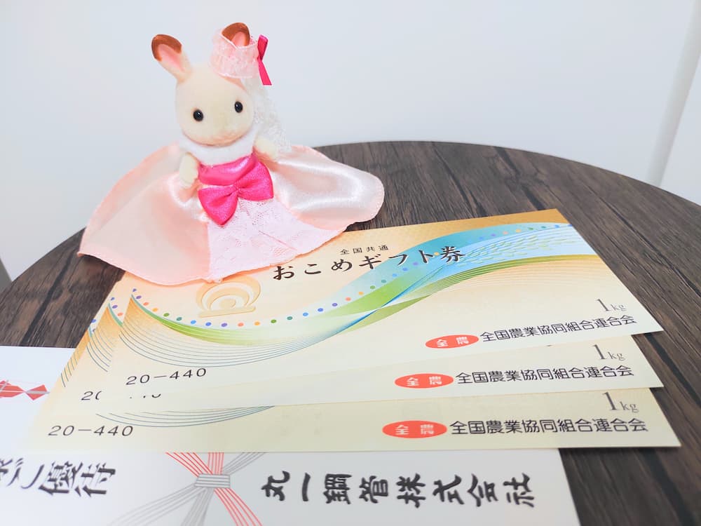202503丸一鋼管株主優待おこめギフト券