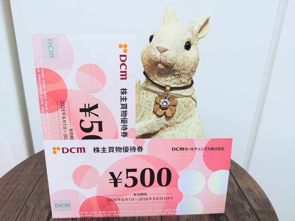 202502DCMホールディングス株主買物優待券