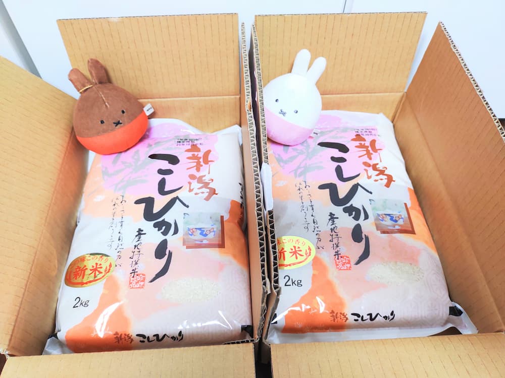 202503アルコニックス株主優待カタログで選んだ「新潟県産こしひかり2kg」×2