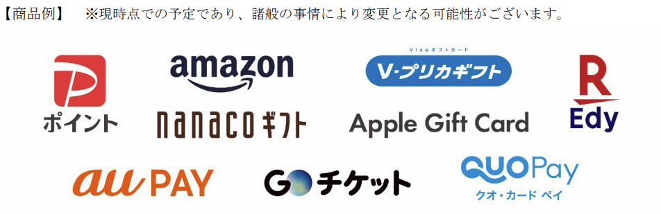 長瀬産業|株主優待電子マネー